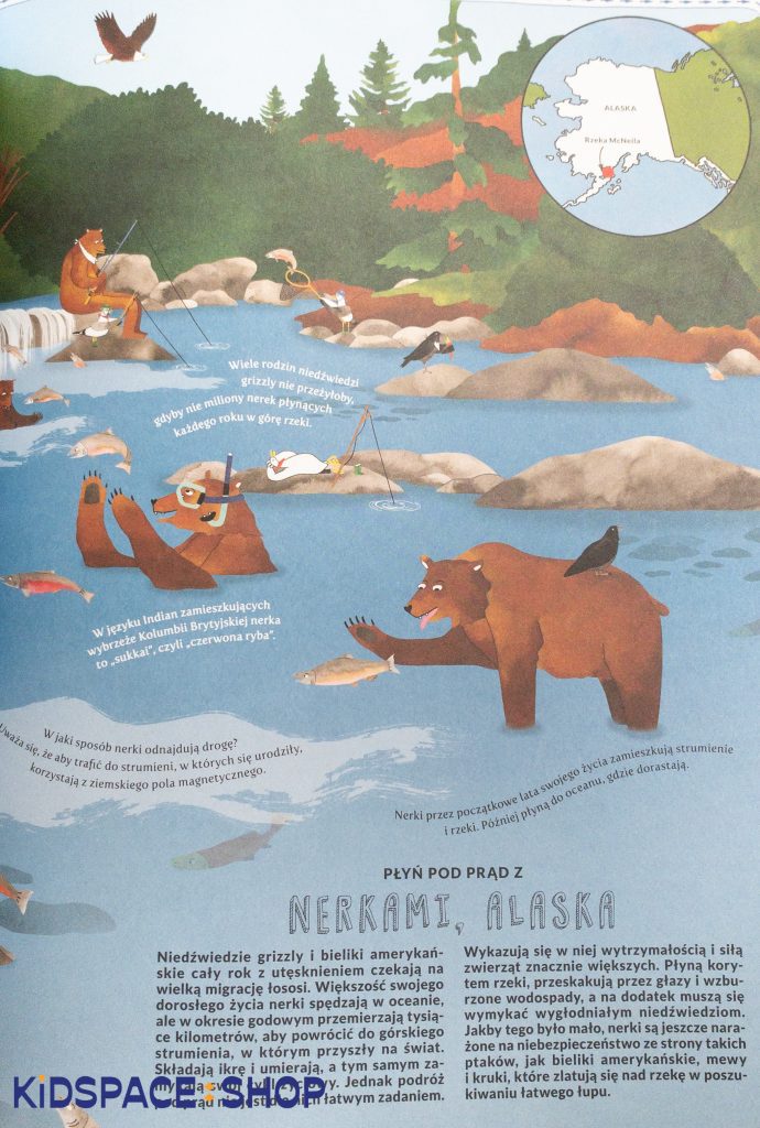 Książka Atlas przygód zwierząt – Nasza Księgarnia